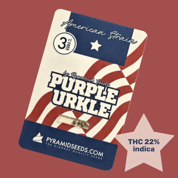 Purple Urkle Pyramid Seeds