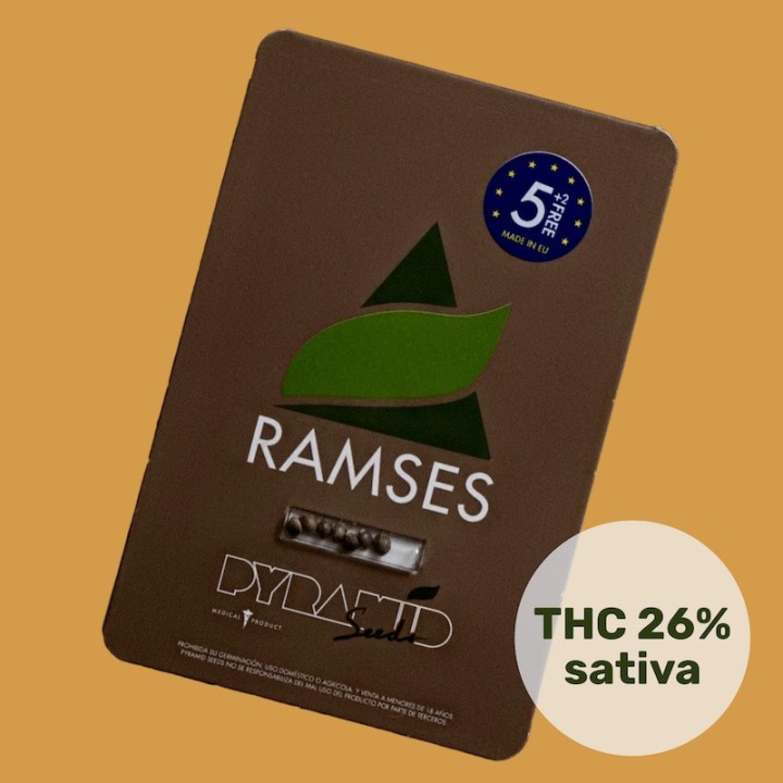 Ramses Pyramid Seeds