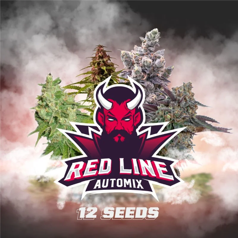 Red Line Automix BSF Seeds