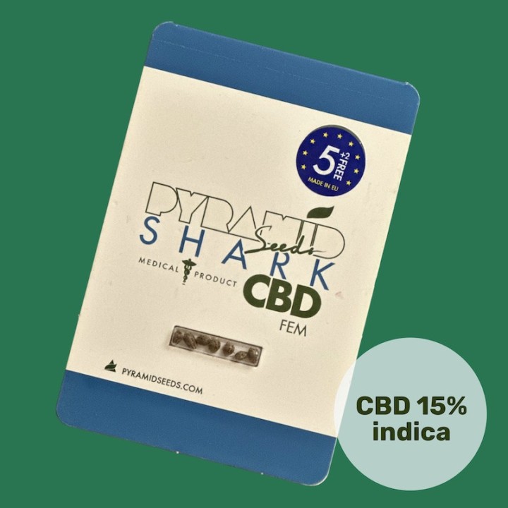 Shark CBD Pyramid Seeds