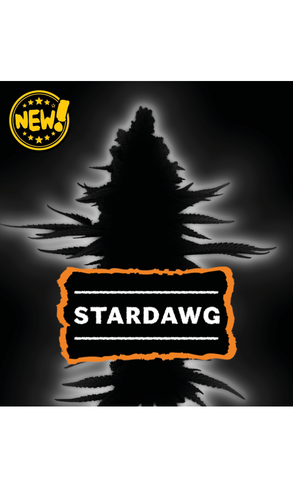 Stardawg von Seedstockers