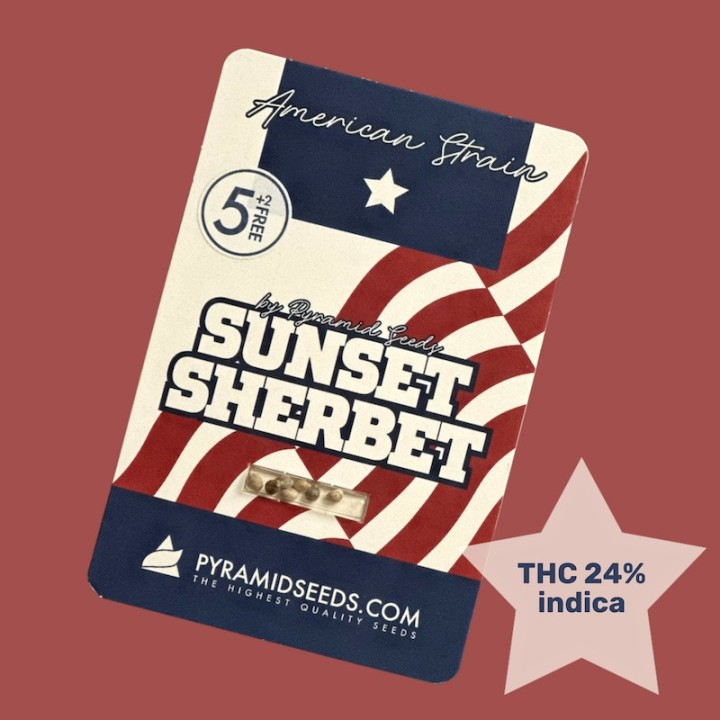 Sunset Sherbet Pyramid Seeds
