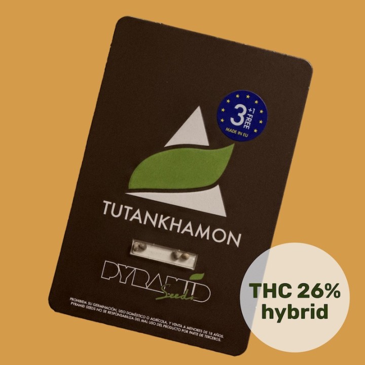 Tutankhamon Pyramid Seeds