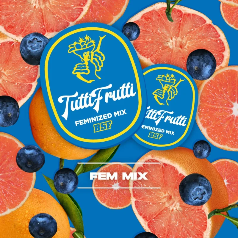 Tutti Frutti Feminized Mix BSF Seeds