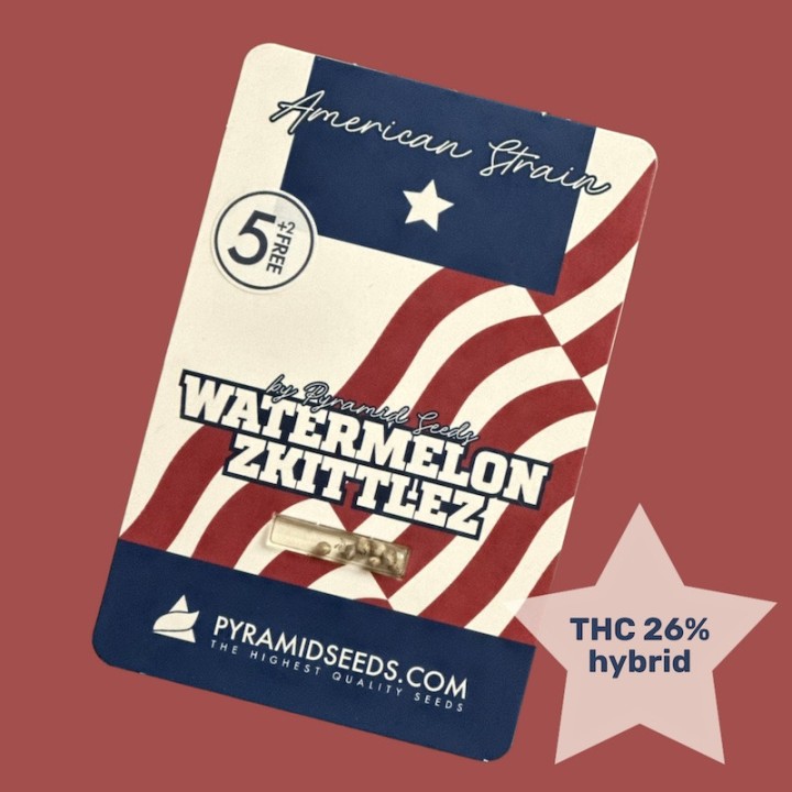 Watermelon Zkittlez Pyramid Seeds