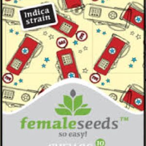 Chem OG von Female Seeds