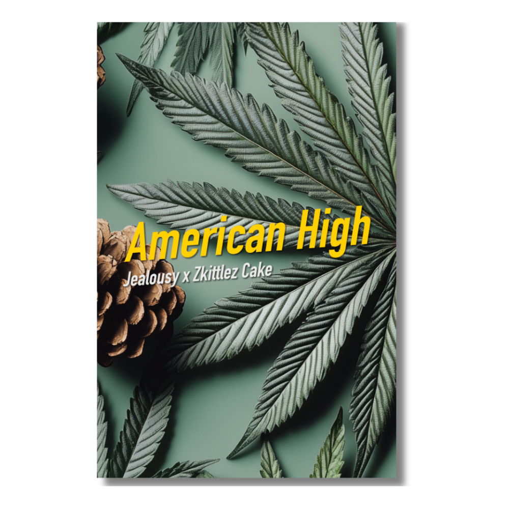 American High von Dope Seeds
