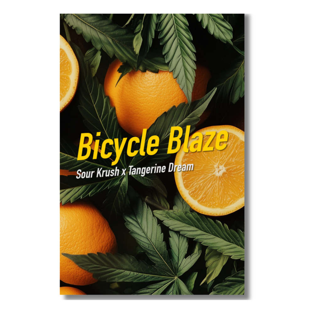 Bicycle Blaze von Dope Seeds