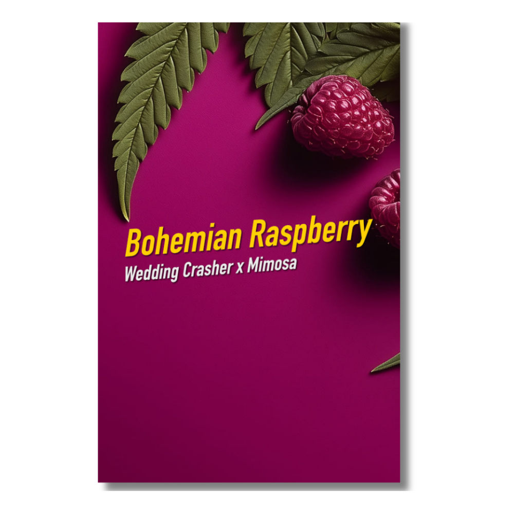 Bohemian Raspberry von Dope Seeds