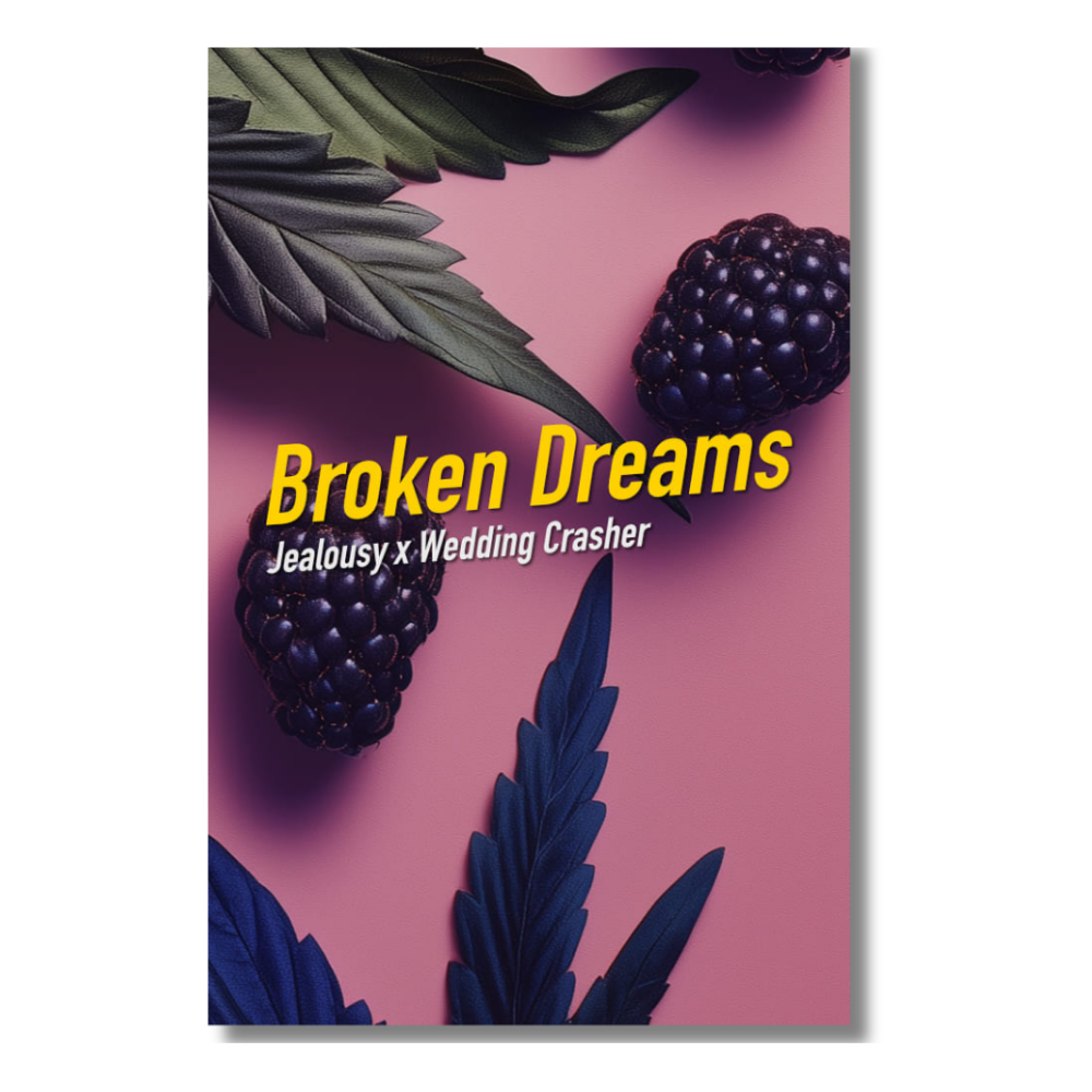 Broken Dreams von Dope Seeds