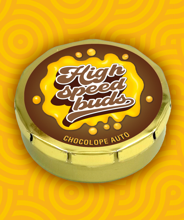Chocolope Auto von High Speed Buds