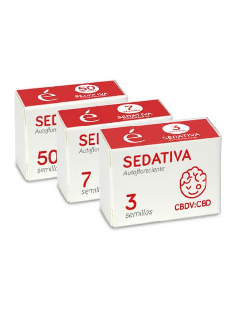Sedativa Auto CBDV von Elite Seeds