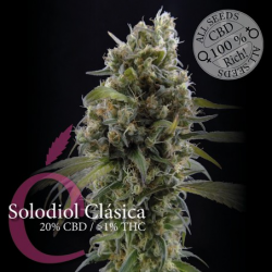 Solodiol CBD von Elite Seeds