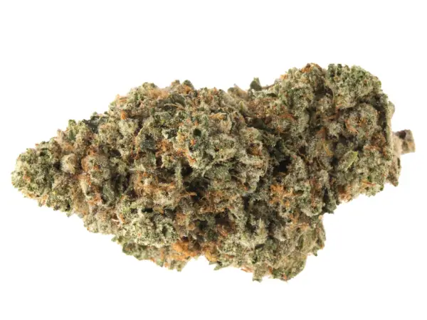Holy Grail Kush von DNA Genetics