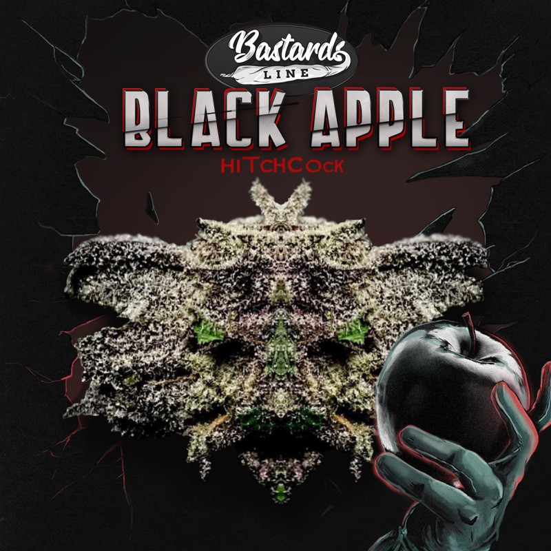 Black Apple Hitchcock von T.H. Seeds