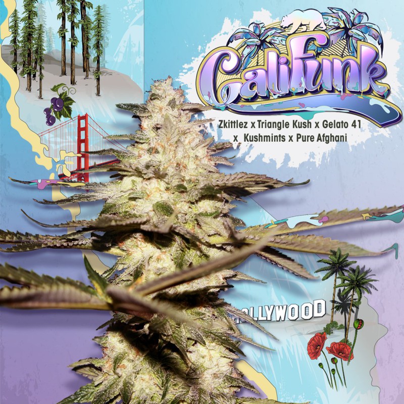 CaliFunk von T.H. Seeds