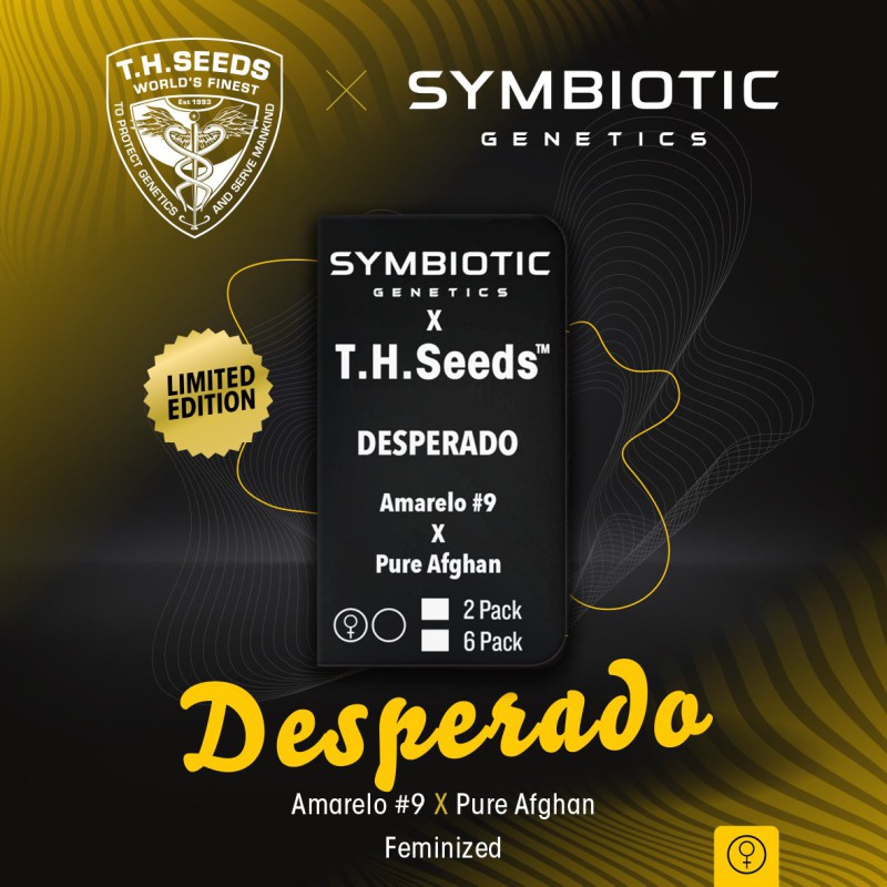 Desperado von T.H. Seeds