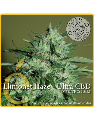 Llimonet Haze Ultra CBD von Elite Seeds