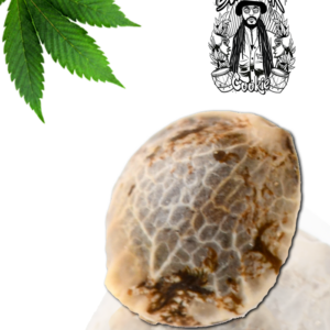 Senmbelek Cookie von French Touch Seeds