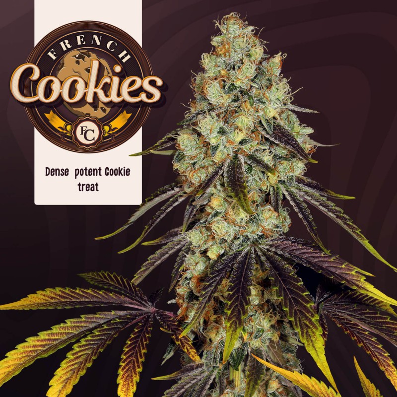 French Cookies von T.H. Seeds