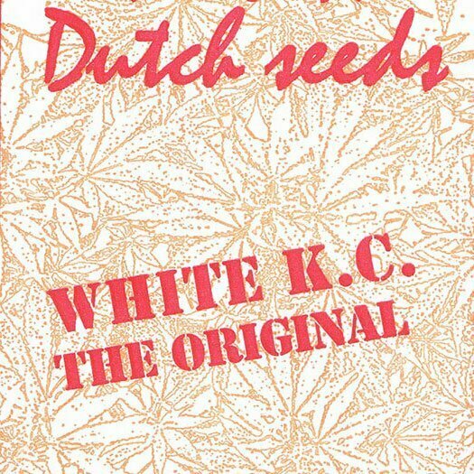 White K.C. reguläre Samen von KC Brains
