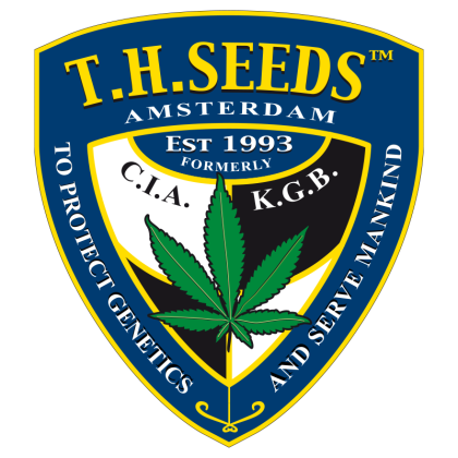 Wreckage von T.H. Seeds