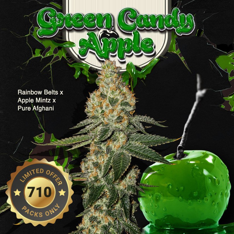 Green Candy Apple von T.H. Seeds