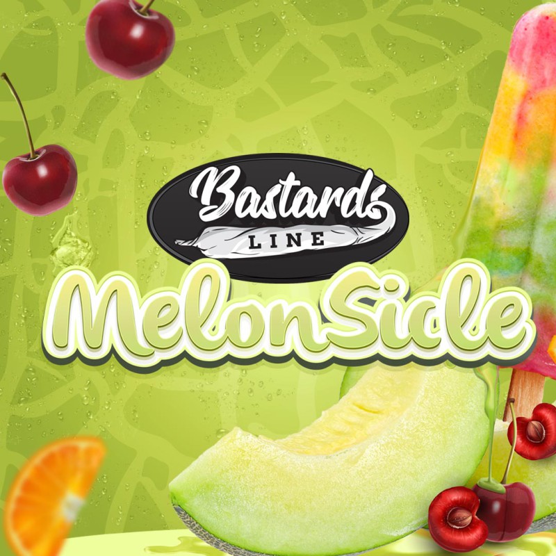 MelonSicle von T.H. Seeds