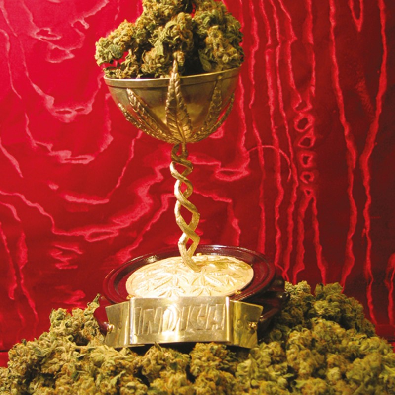 MK-Ultra von T.H. Seeds