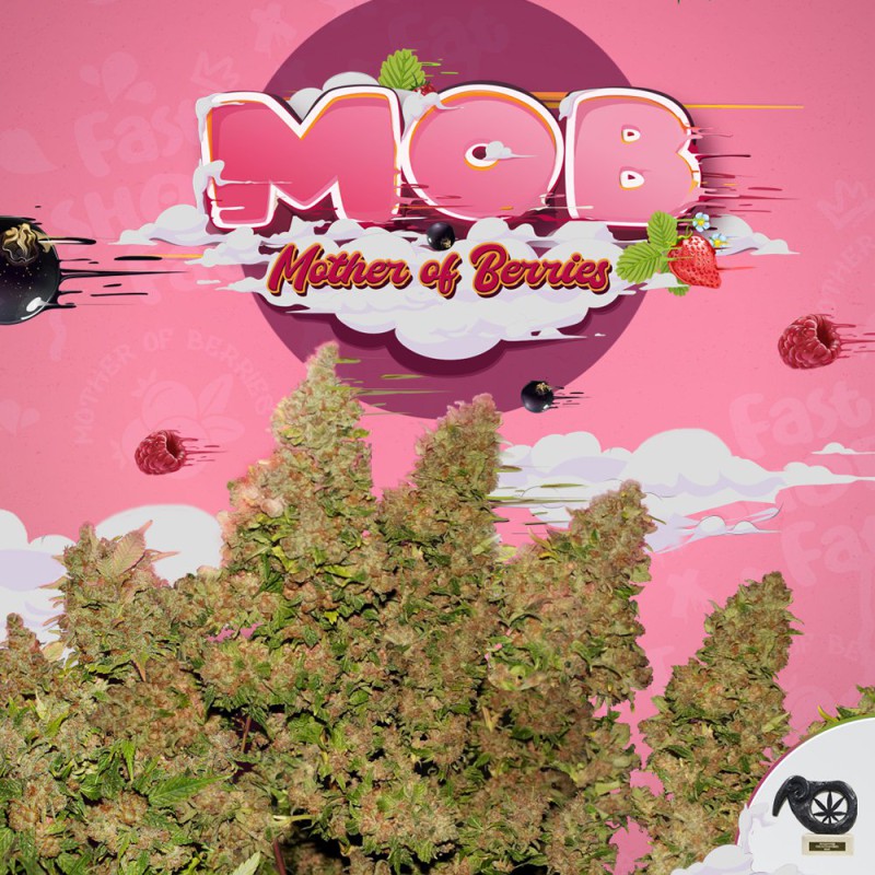 M.O.B. von T.H. Seeds