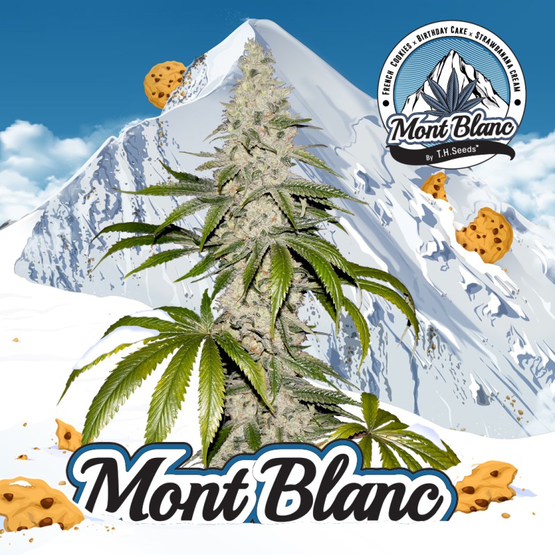 Mont Blanc von T.H. Seeds
