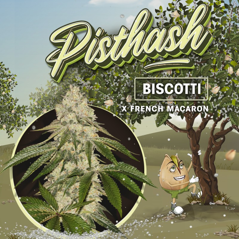Pisthash von T.H. Seeds