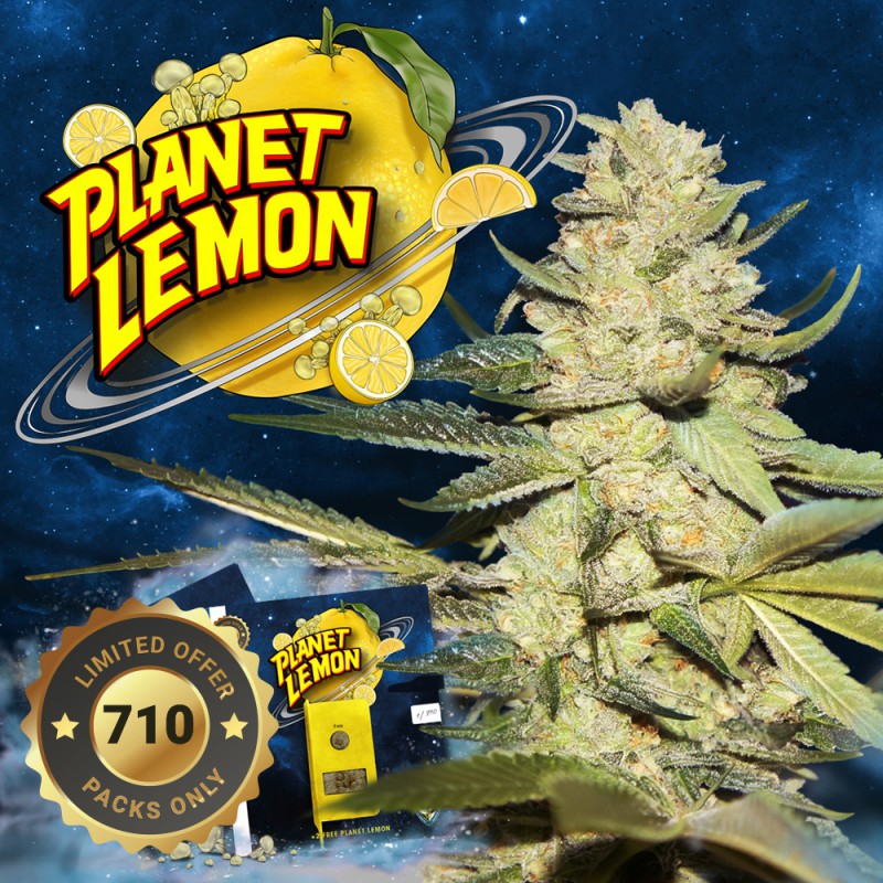 Planet Lemon von T.H. Seeds