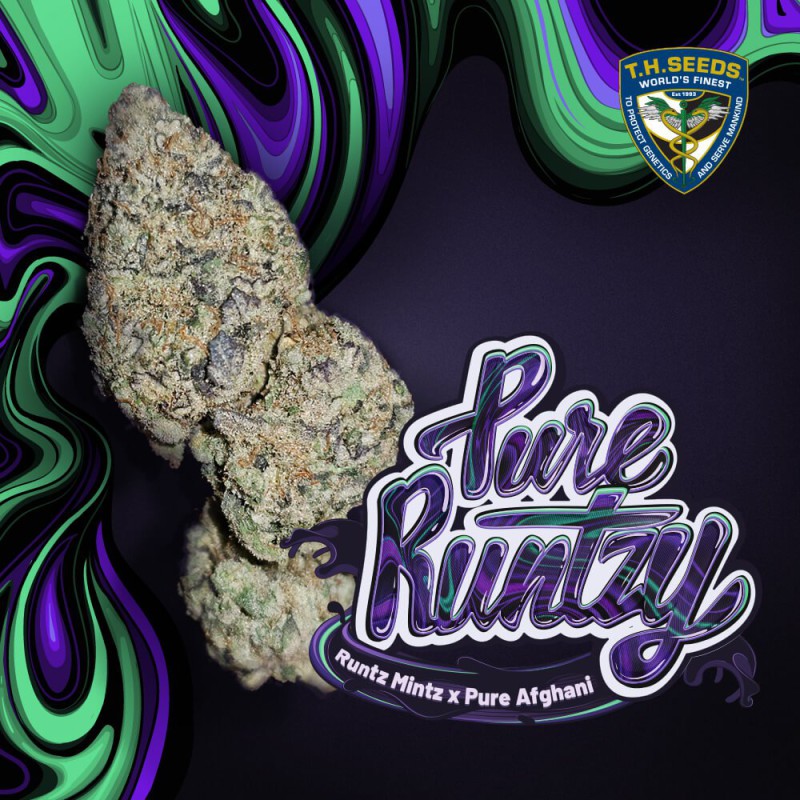 Pure Runtzy von T.H. Seeds
