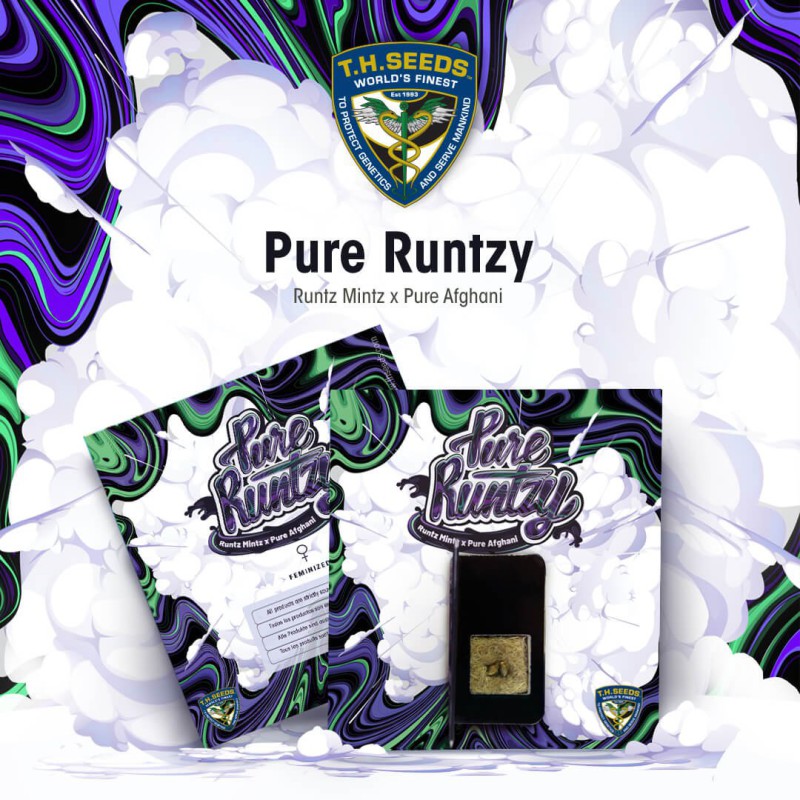 Pure Runtzy von T.H. Seeds