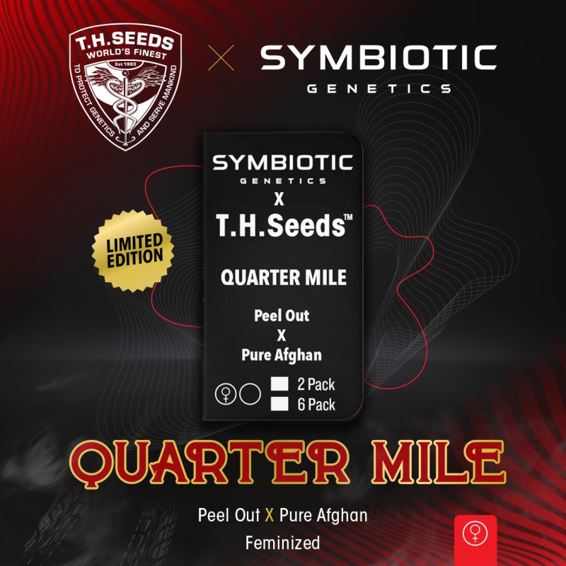 Quarter Mile von T.H. Seeds