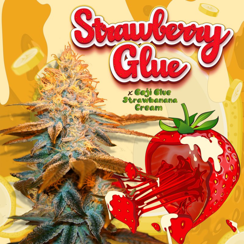 Strawberry Glue von T.H. Seeds