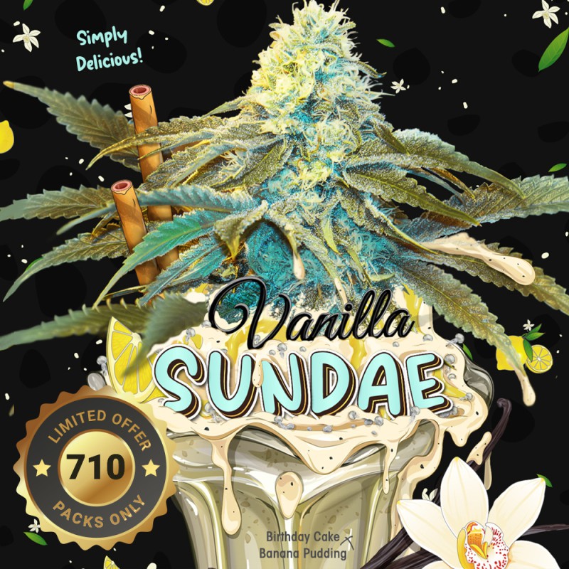 Vanilla Sundae von T.H. Seeds