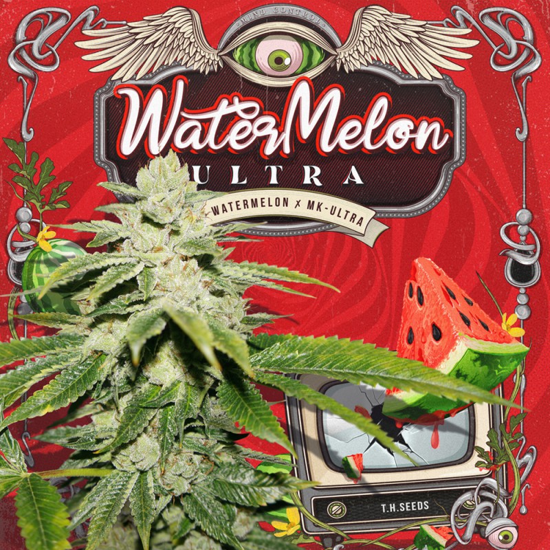 Watermelon Ultra von T.H. Seeds