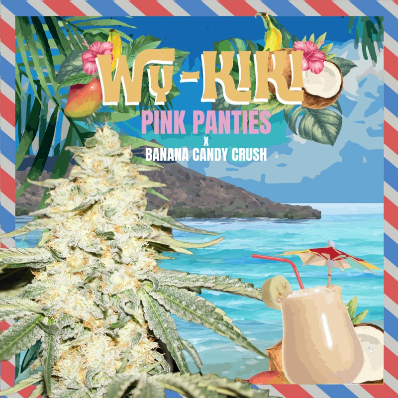 Wy-Kiki von T.H. Seeds