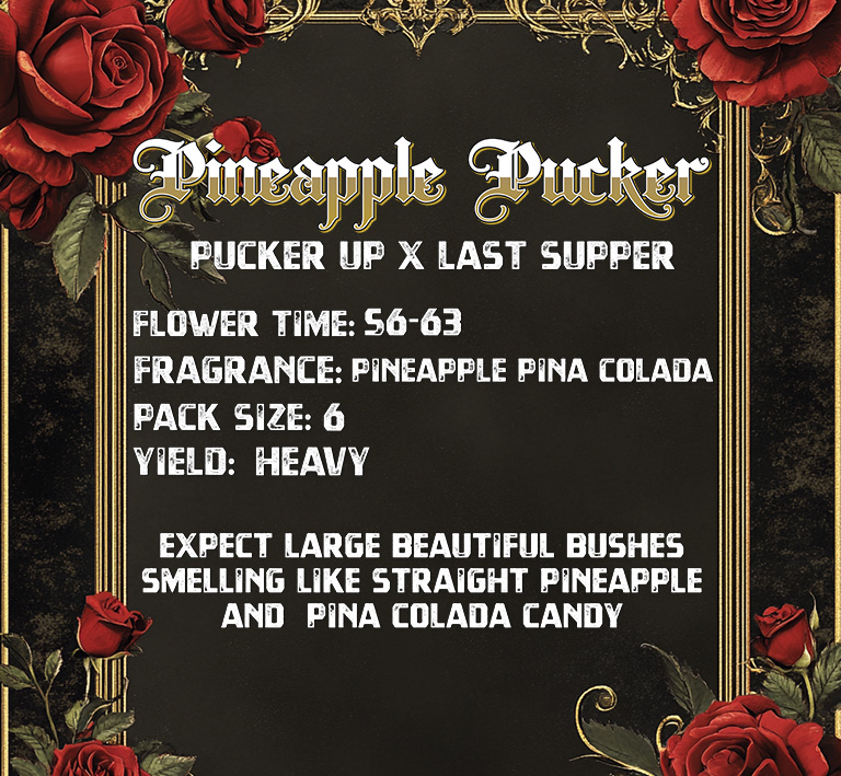 Pineapple Pucker Solfire Gardens Hersteller-Datenkarte