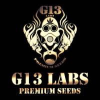 G13 Labs Markenlogo