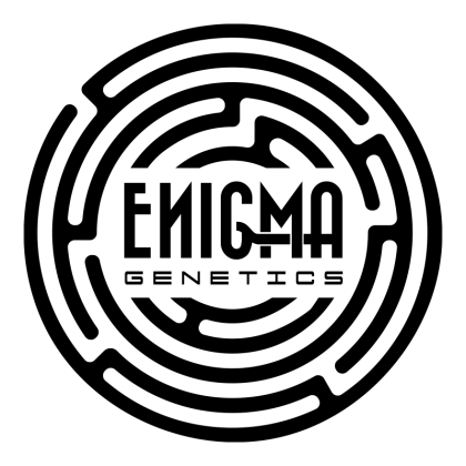 Enigma Genetics Markenlogo