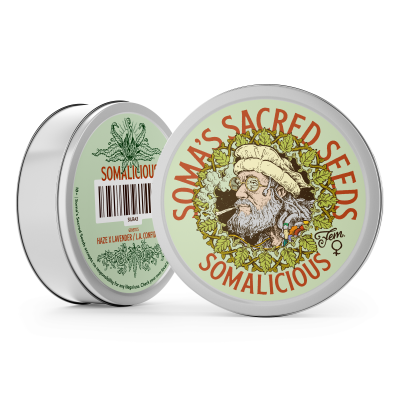 Somalicious Soma Seeds