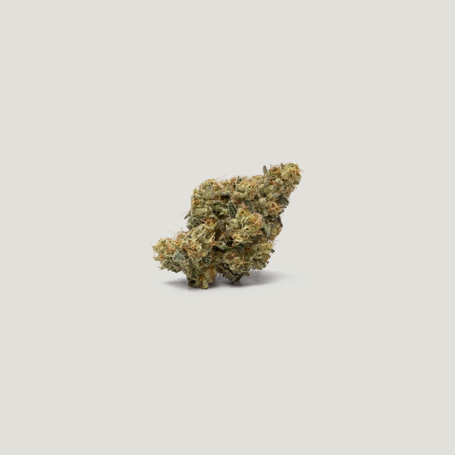 SR-71 Purple City Genetics Herstellerfoto